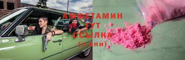 a pvp Бородино