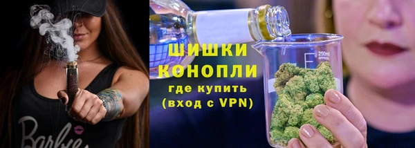 PSILOCYBIN Бугульма