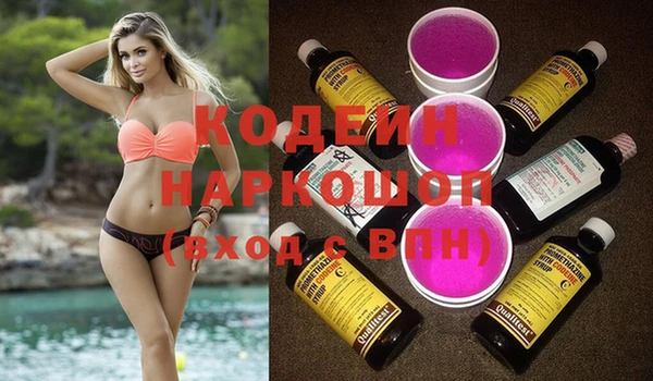 a pvp Бородино