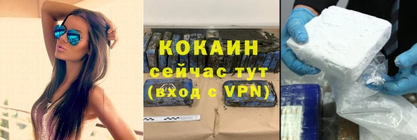 a pvp Бородино