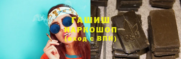 a pvp Бородино