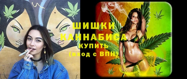 сатива Горнозаводск