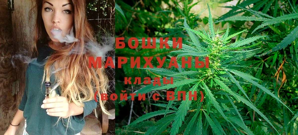 PSILOCYBIN Бугульма